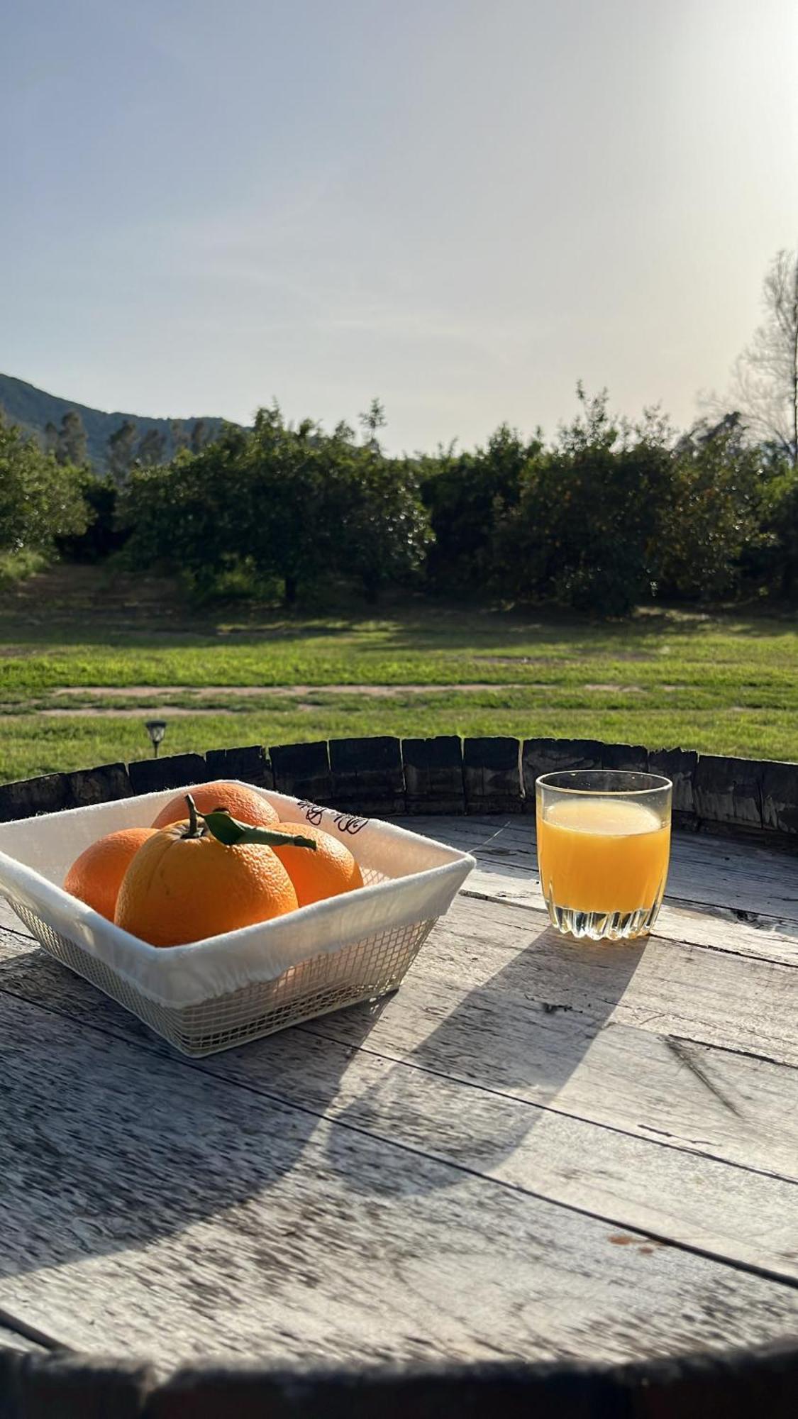 Bidd'E Majori Bed and Breakfast San Priamo Eksteriør billede