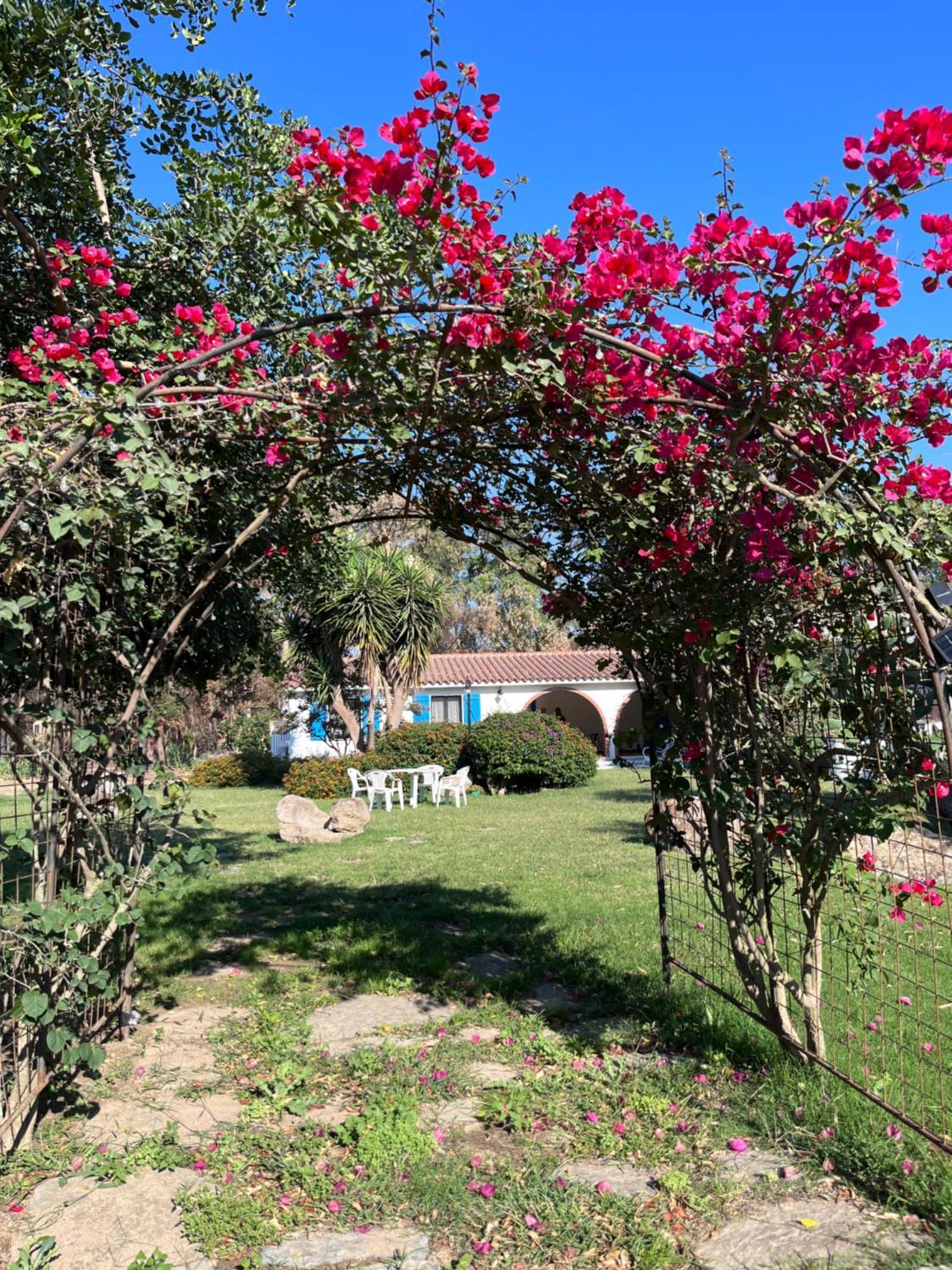 Bidd'E Majori Bed and Breakfast San Priamo Eksteriør billede